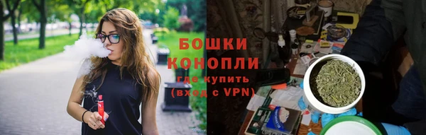 PSILOCYBIN Богородск