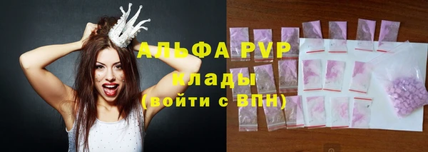 сатива Богданович