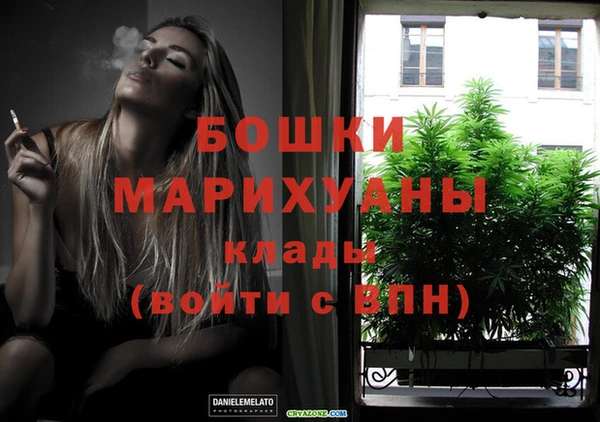 PSILOCYBIN Богородск