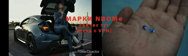 прущие грибы Богородицк