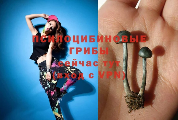 сатива Богданович