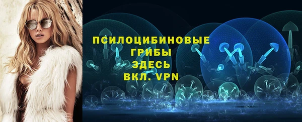 сатива Богданович