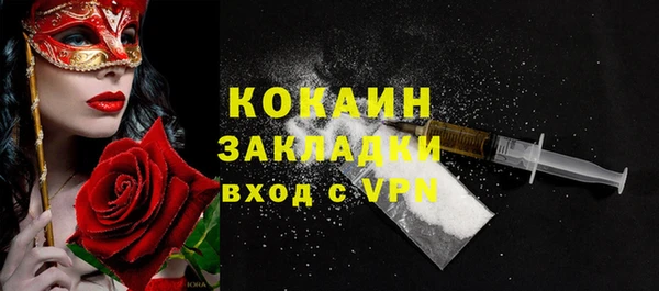 прущие грибы Богородицк