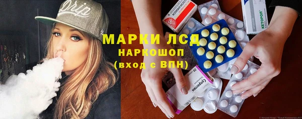 сатива Богданович
