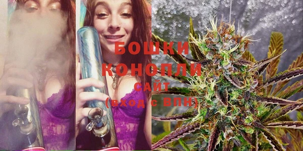 PSILOCYBIN Богородск