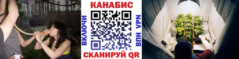 Конопля планчик  где купить наркоту  Духовщина 